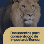 DOCUDOCUMENTOS PARA APRESENTA&Ccedil;&Atilde;O DE IMPOSTO DE RENDAMENTOS PARA APRESENTA&Ccedil;&Atilde;O DE IMPOSTO DE RENDA